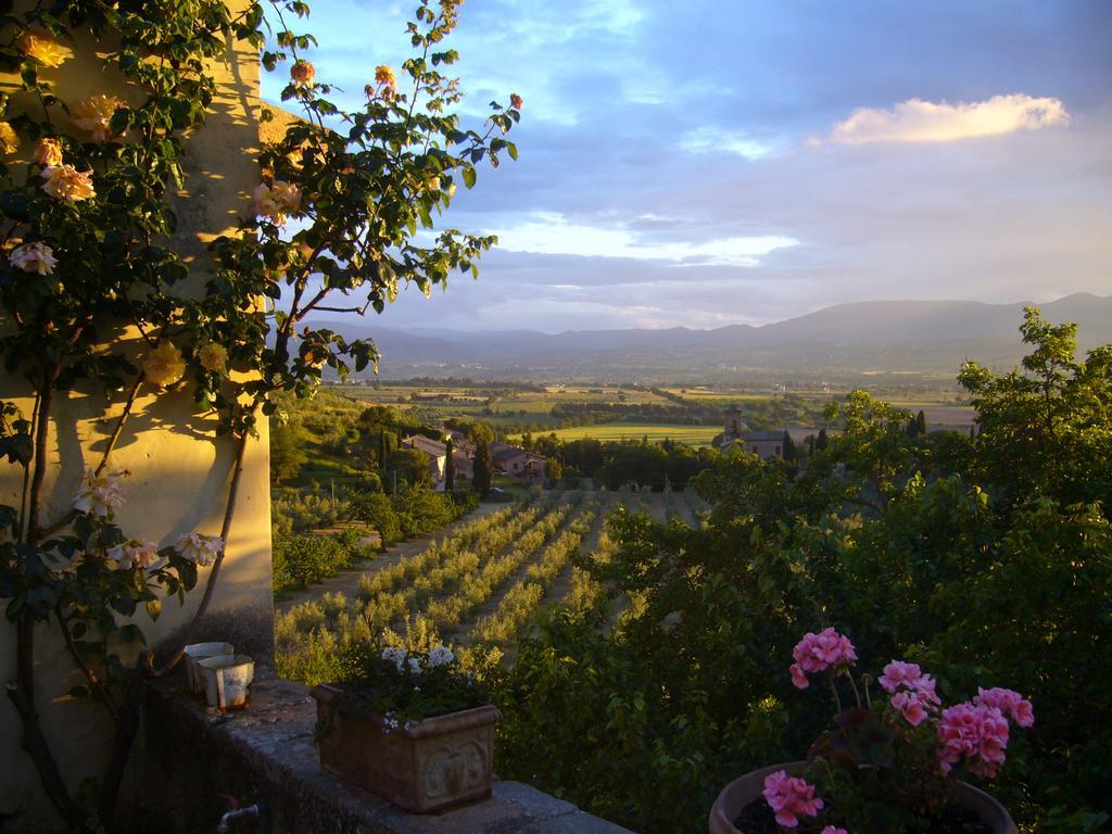 Villa Della Genga Country Houses Poreta 外观 照片
